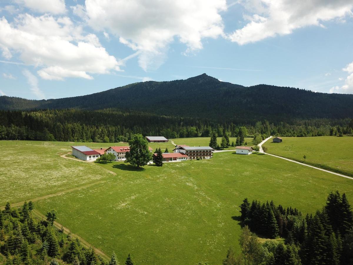 Osserhotel Garni Lohberg Bagian luar foto