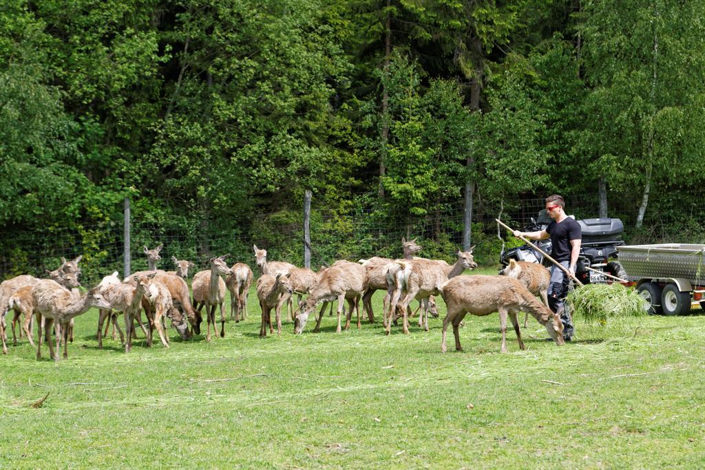 Osserhotel Garni Lohberg Bagian luar foto