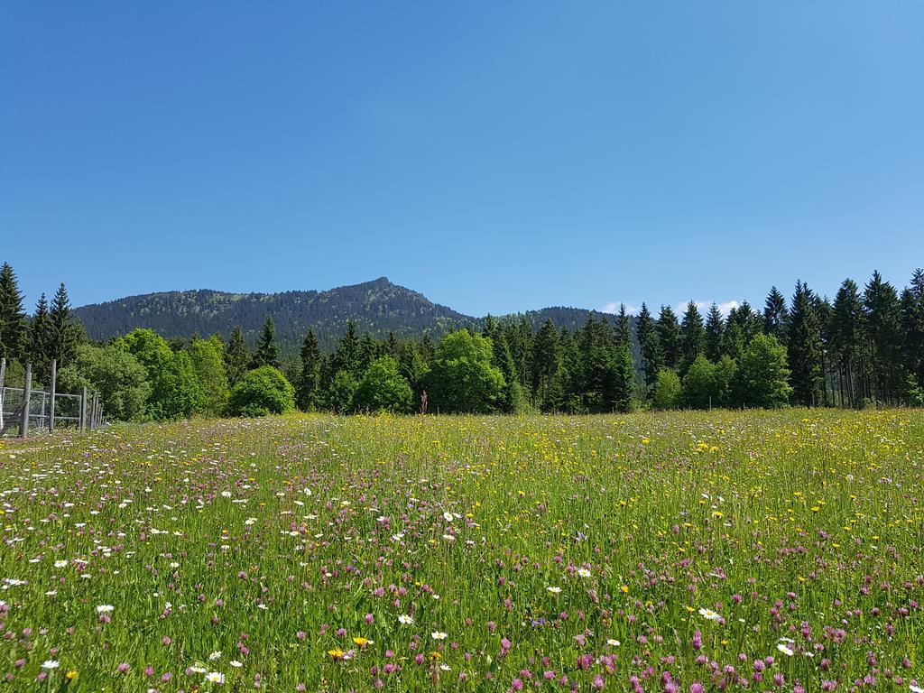 Osserhotel Garni Lohberg Bagian luar foto